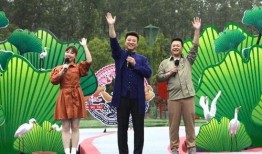 临沂男子爆料新闻视频最新,揭露惊人真相，视频曝光引发社会关注