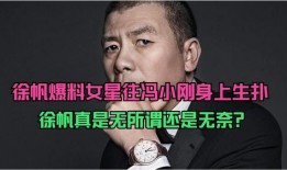 娱乐圈爆料冯小刚,揭秘背后真相与争议